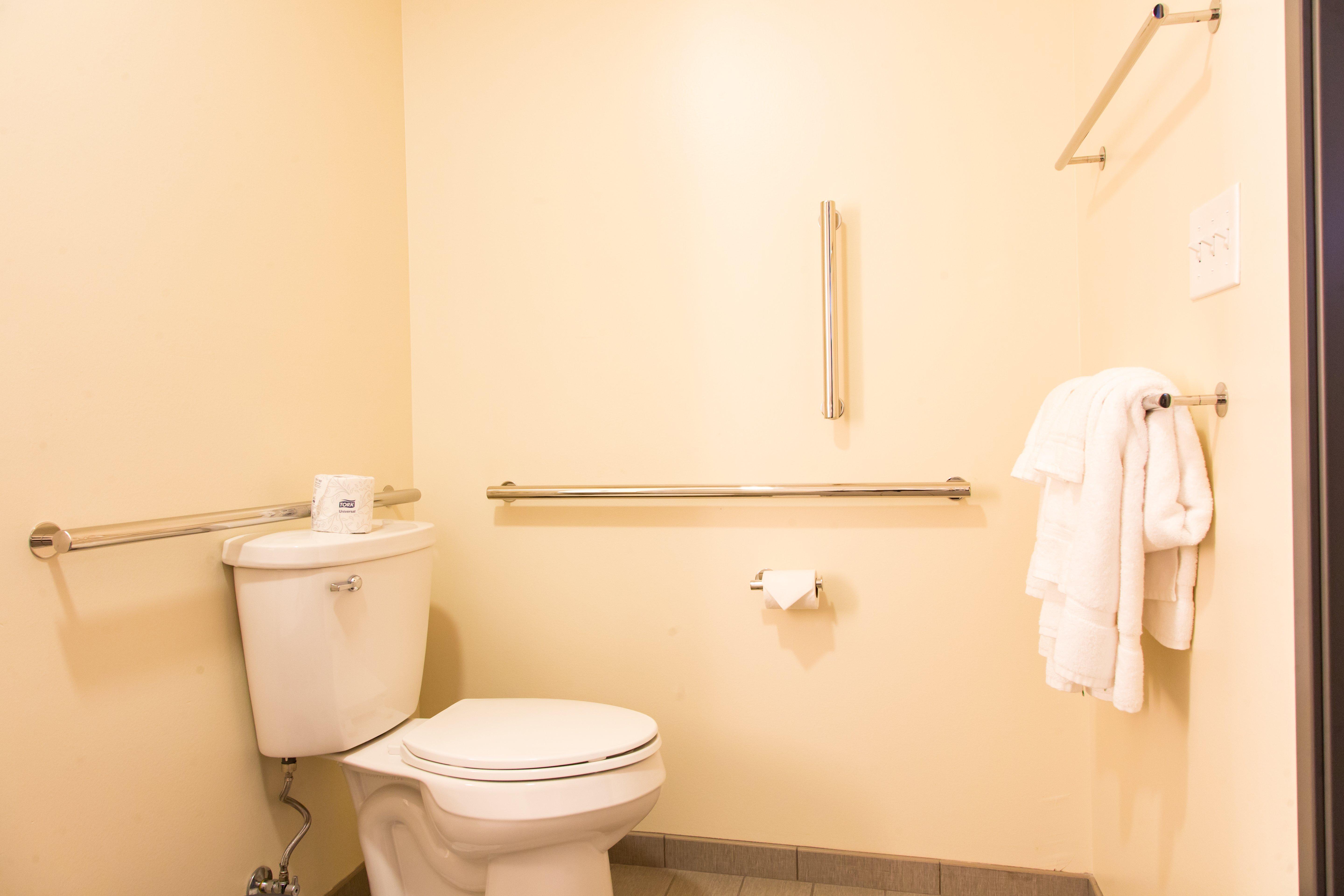Holiday Inn Hotel & Suites - Mount Pleasant By Ihg Екстер'єр фото